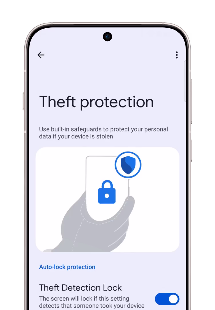 Theft Protection