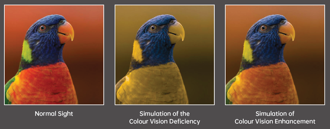 OPPO Find X3 Pro Colour Vision Enhancement